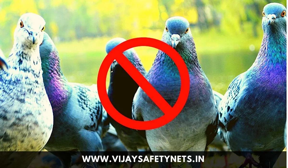 vijay-safety-nets-bangalore